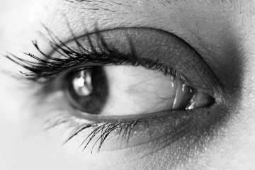 close up of womans eye
