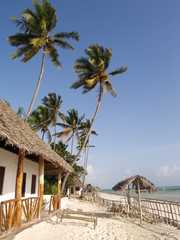plage Zanzibar - obrazy, fototapety, plakaty