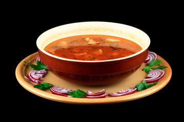 close up of a beef soup plate and onions
