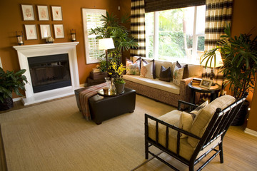 Luxury home living room with a fireplace.