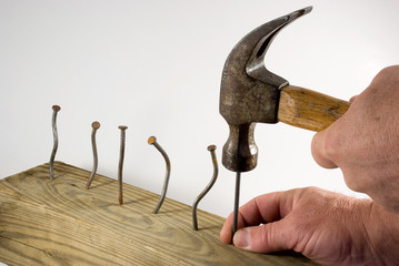 Hands holding hammer with bent nails exasperated - obrazy, fototapety, plakaty
