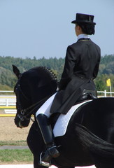 equestrian woman riding black stallion horse