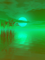 Water plants on a sea sunset  background  -  3D scene.