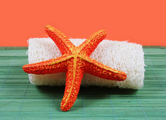 Spa and beauty products - orange starfish and loofah brush.