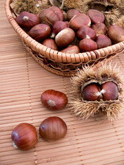 chestnuts in their shells
