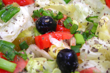 Tossed green salad, with tomatoes