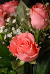 Bouquet of roses. A composition from gentle pink roses