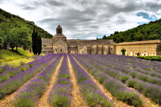 S&egrave;NANQUE