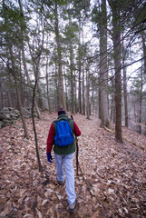   man hiking in woods winter overlooking river in gorge