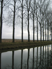 Obraz premium alignement hivernal