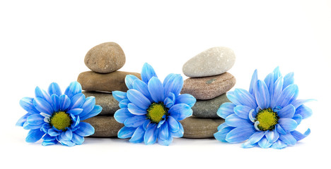 therapy stones with flowers isolated