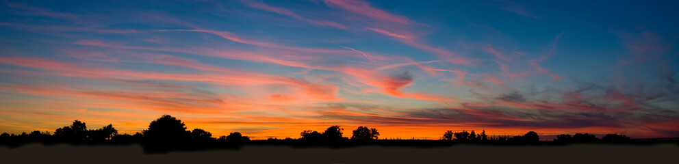 Beauty sunset over trees