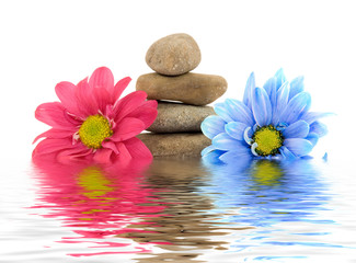 therapy stones with flowers isolated © dinostock