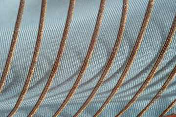 Detail of a feather from a peacock