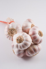 Garlics over a white background