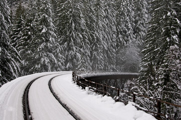 Fototapeta premium Northern Pacific Rail Bridge, near Steven's Pass, Washington