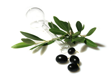 ramo olivo con ampolla