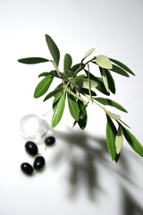 ramo olivo con ampolla