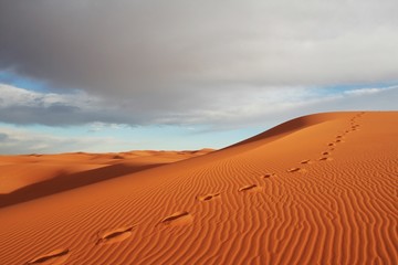 Deserts