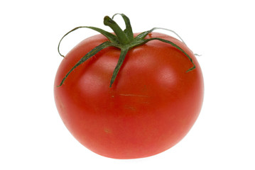 fresh red tomato