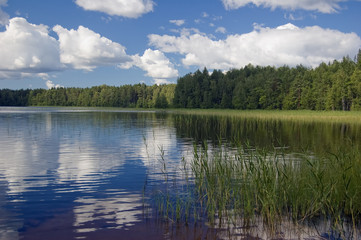 Lake in-field. A bright summer sun. White clouds.