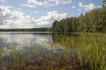 Lake in-field. A bright summer sun. White clouds.