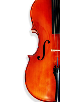 Cello, isolated on white with shadow.  