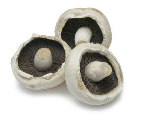 Three Mushrooms