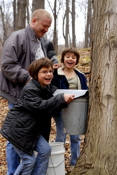 Maple Sugaring