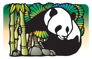 panda lives with bamboos