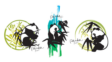 all pandas love bamboos