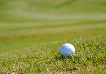 White golf ball resting on grass