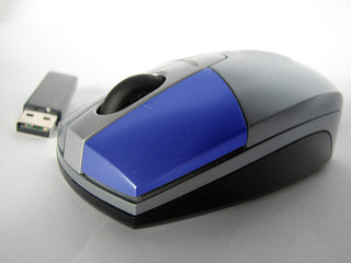 mouse with blue button