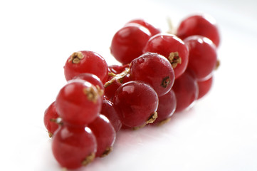 close up from red berries