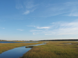 Salt marsh