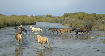 Cowboys leading horses across a Montana river