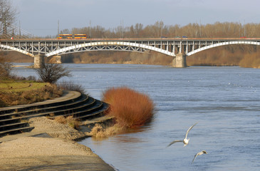 Vistula river in Warsaw