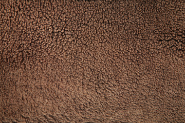 fur texture