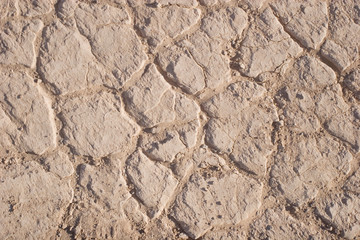 Cracked earth texture or background