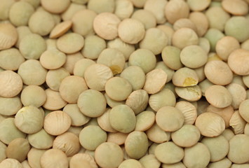 green lentil background
