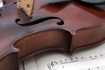 violin