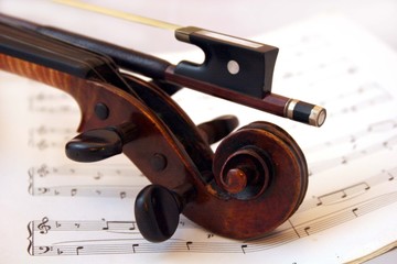 violin