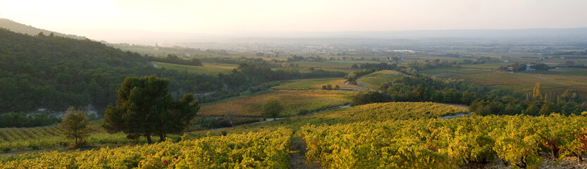 paysage automnale de Provence