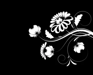 Papier Peint photo Fleurs noir et blanc Fond floral en couleur noir et blanc