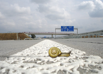 Schnecke auf Autobahn