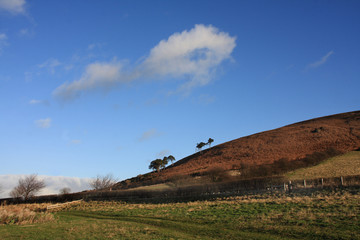 View to the Doddington hill with trees on the skyline