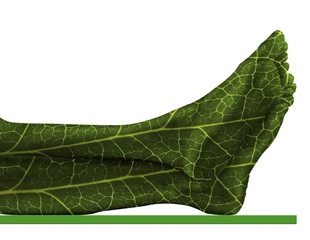 JAMBES FEMME PLANTE
