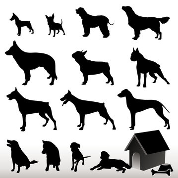 Vector Dog Silhouettes Collection, set of small and big dogs, pet illustration