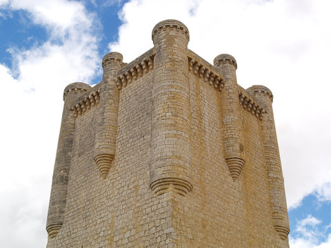 Castillo de Torrelobaton