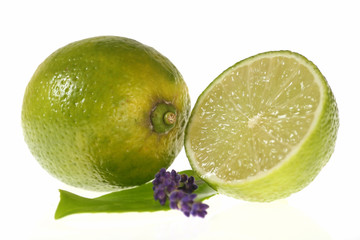 Frucht